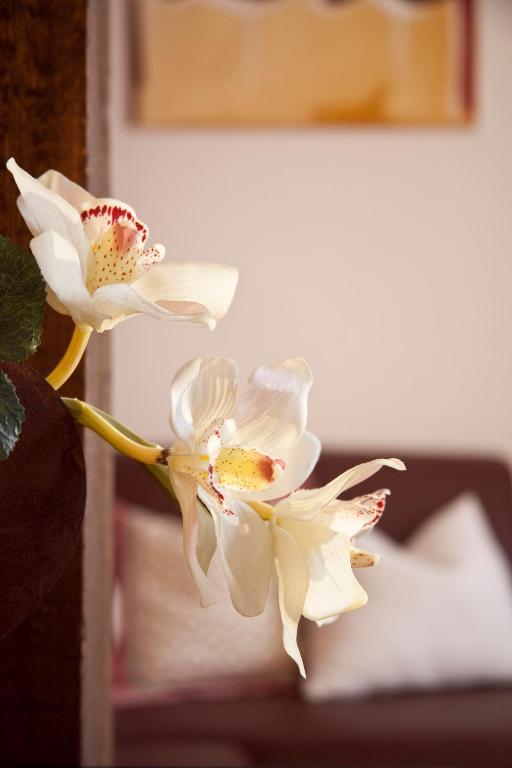 Appartements Fliana Mathon/イシュグル 部屋 写真